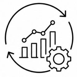 Continuous Optimization - Digital Transformation Process